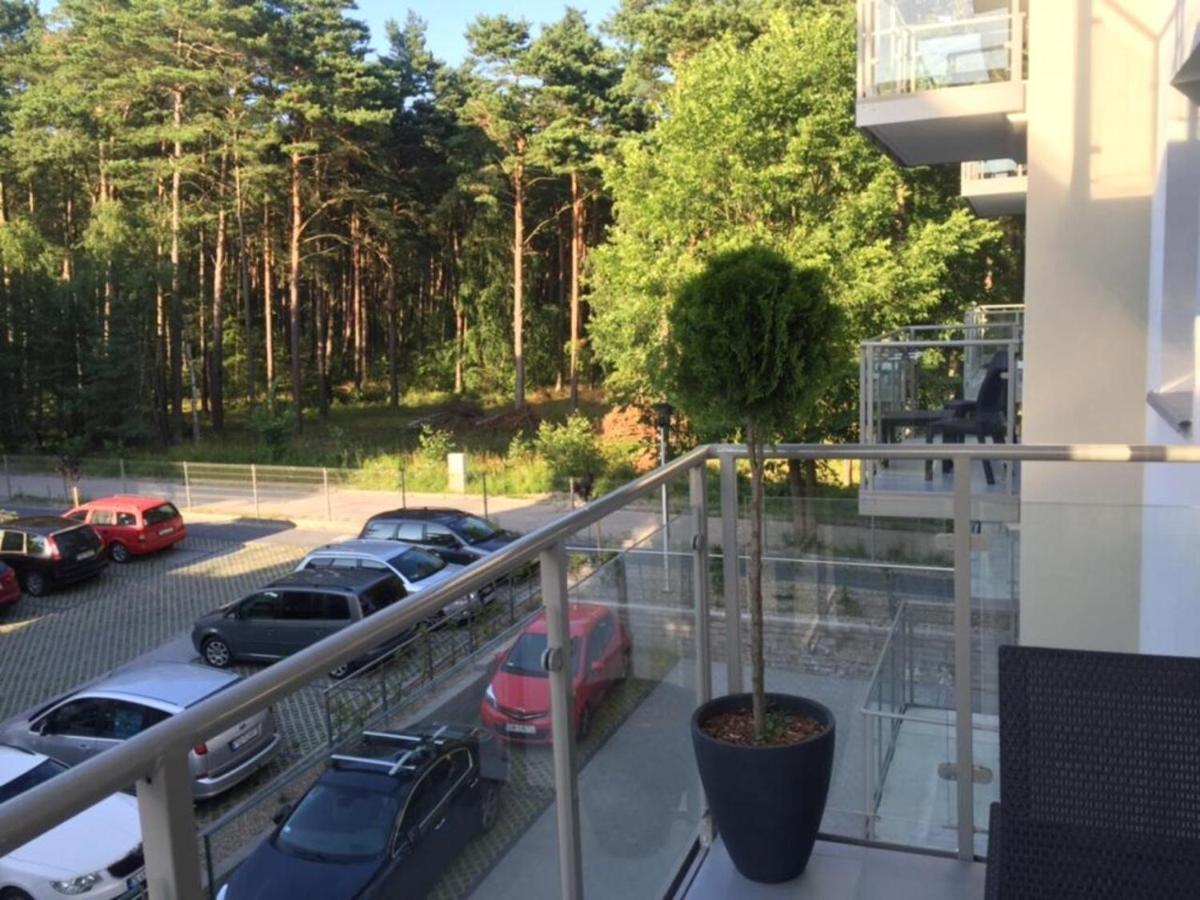 Lesne Apartamenty Дзивновек Экстерьер фото
